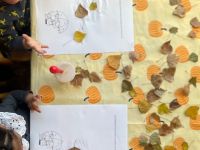 Thema: Jules in de herfst!